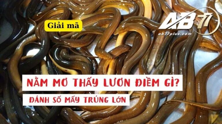 Mơ thấy lươn và những bí ẩn cần được giải mã